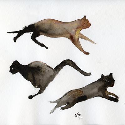 https://imgc.allpostersimages.com/img/posters/run-cat-run-2017_u-L-Q1GU6UA0.jpg?artPerspective=n