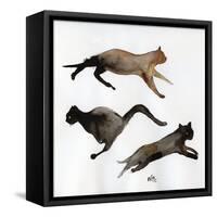 Run Cat Run, 2017-Nancy Moniz Charalambous-Framed Stretched Canvas