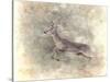 Run Like the Wind White Tailed Buck-Jai Johnson-Stretched Canvas