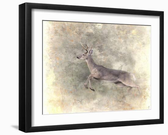 Run Like the Wind White Tailed Buck-Jai Johnson-Framed Giclee Print