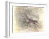 Run Like the Wind White Tailed Buck-Jai Johnson-Framed Giclee Print