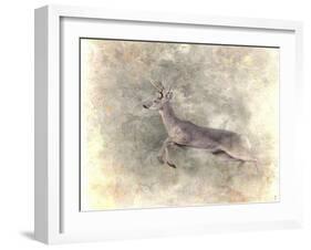 Run Like the Wind White Tailed Buck-Jai Johnson-Framed Giclee Print