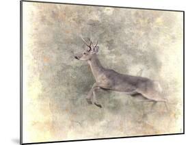 Run Like the Wind White Tailed Buck-Jai Johnson-Mounted Giclee Print