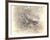 Run Like the Wind White Tailed Buck-Jai Johnson-Framed Giclee Print