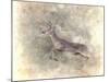 Run Like the Wind White Tailed Buck-Jai Johnson-Mounted Giclee Print