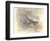 Run Like the Wind White Tailed Buck-Jai Johnson-Framed Giclee Print