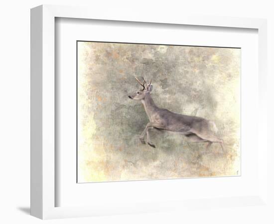 Run Like the Wind White Tailed Buck-Jai Johnson-Framed Giclee Print