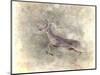 Run Like the Wind White Tailed Buck-Jai Johnson-Mounted Giclee Print