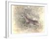 Run Like the Wind White Tailed Buck-Jai Johnson-Framed Giclee Print