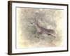 Run Like the Wind White Tailed Buck-Jai Johnson-Framed Giclee Print