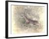 Run Like the Wind White Tailed Buck-Jai Johnson-Framed Giclee Print