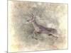 Run Like the Wind White Tailed Buck-Jai Johnson-Mounted Giclee Print