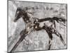 Run Pony-Jodi Maas-Mounted Giclee Print