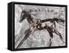 Run Pony-Jodi Maas-Framed Stretched Canvas