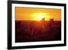 Run-Dan Ballard-Framed Photographic Print