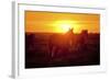 Run-Dan Ballard-Framed Photographic Print