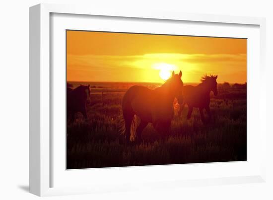 Run-Dan Ballard-Framed Photographic Print