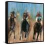 Run-Valtcho Tonov-Framed Stretched Canvas