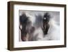 Runaway horse-Martine Benezech-Framed Photographic Print