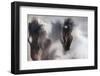Runaway horse-Martine Benezech-Framed Photographic Print