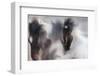 Runaway horse-Martine Benezech-Framed Photographic Print