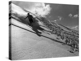 Runaway Skier-null-Stretched Canvas