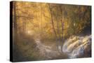 Stretched Canvas