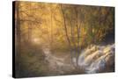 Stretched Canvas