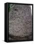 Rune Stone Relief Depicting Dragon, 983, Jelling-null-Framed Stretched Canvas