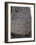Rune Stone Relief Depicting Dragon, 983, Jelling-null-Framed Photographic Print