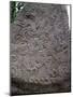 Rune Stone Relief Depicting Dragon, 983, Jelling-null-Mounted Photographic Print