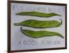 Runner Beans-Sarah Thompson-Engels-Framed Giclee Print