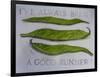 Runner Beans-Sarah Thompson-Engels-Framed Giclee Print