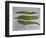 Runner Beans-Sarah Thompson-Engels-Framed Giclee Print