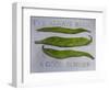 Runner Beans-Sarah Thompson-Engels-Framed Giclee Print