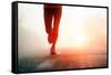 Runner Feet Running on Road Closeup on Shoe. Woman Fitness Sunrise Jog Workout Welness Concept.-warrengoldswain-Framed Stretched Canvas