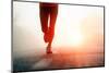 Runner Feet Running on Road Closeup on Shoe. Woman Fitness Sunrise Jog Workout Welness Concept.-warrengoldswain-Mounted Photographic Print