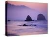 Runner on The Beach, Cannon Beach, Oregon, USA-Gavriel Jecan-Stretched Canvas