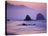 Runner on The Beach, Cannon Beach, Oregon, USA-Gavriel Jecan-Stretched Canvas