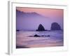 Runner on The Beach, Cannon Beach, Oregon, USA-Gavriel Jecan-Framed Photographic Print