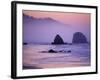 Runner on The Beach, Cannon Beach, Oregon, USA-Gavriel Jecan-Framed Photographic Print