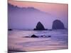 Runner on The Beach, Cannon Beach, Oregon, USA-Gavriel Jecan-Mounted Photographic Print