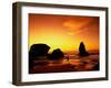 Runner Silhouetted on Beach-Robert Houser-Framed Premium Photographic Print