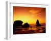 Runner Silhouetted on Beach-Robert Houser-Framed Photographic Print