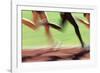 Runners Legs in Motion (Blurred Motion)-Peter Skinner-Framed Photographic Print