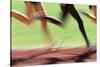 Runners Legs in Motion (Blurred Motion)-Peter Skinner-Stretched Canvas