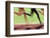 Runners Legs in Motion (Blurred Motion)-Peter Skinner-Framed Photographic Print