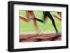 Runners Legs in Motion (Blurred Motion)-Peter Skinner-Framed Photographic Print