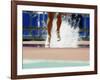 Runners Legs Splashing Through Water Jump of Track and Field Steeplechase Race, Sydney, Australia-Paul Sutton-Framed Photographic Print