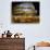 Runners Make Their Way Past the Colosseum in Rome-null-Premium Photographic Print displayed on a wall